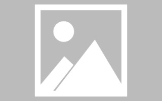 阳江论文网站建设（网站建设的论文）